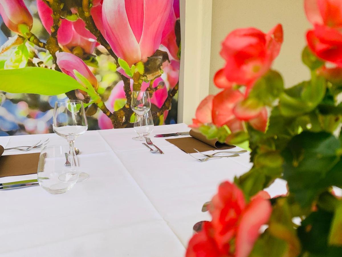 Zu Den Linden - Radebeul Pension Mit Restaurant Dış mekan fotoğraf
